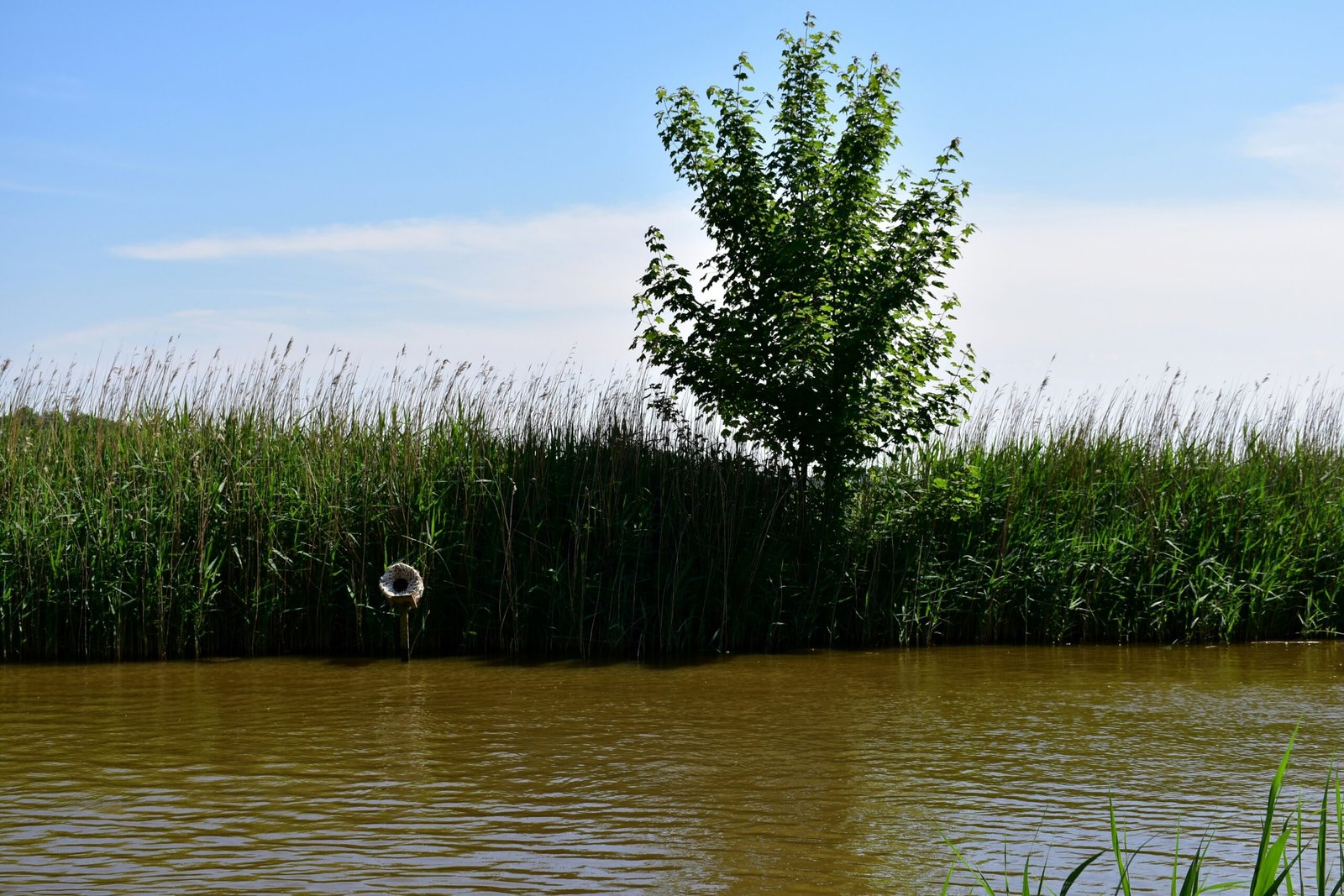 L’accès à l’eau : comment l’IA et les capteurs transforment la gestion des ressources en eau