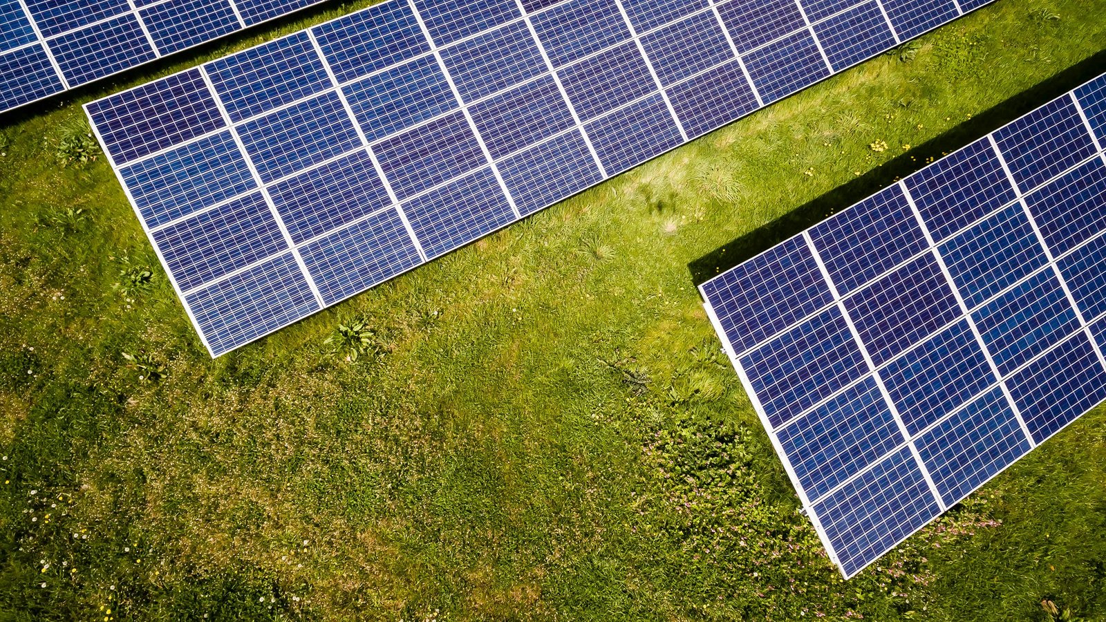 L’IA au service de l’énergie : prédictions de la demande en électricité et optimisation des panneaux solaires